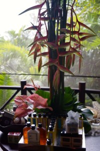 The beauty of a treetop spa