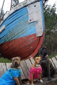 Scooby, Honey and Keyna