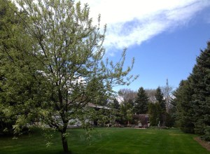 Where grandchildren played and played