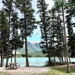 968078A3-A836-4C8C-A77A-2407C3A45FC3