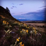 E0CC4134-7D63-4D25-BF65-C0E62CDA6706